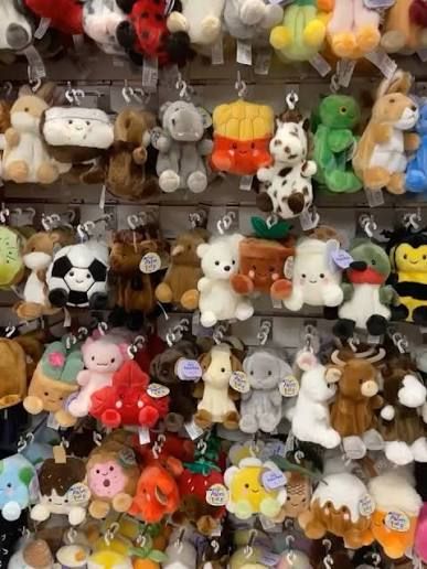 Cute Keychain ASST