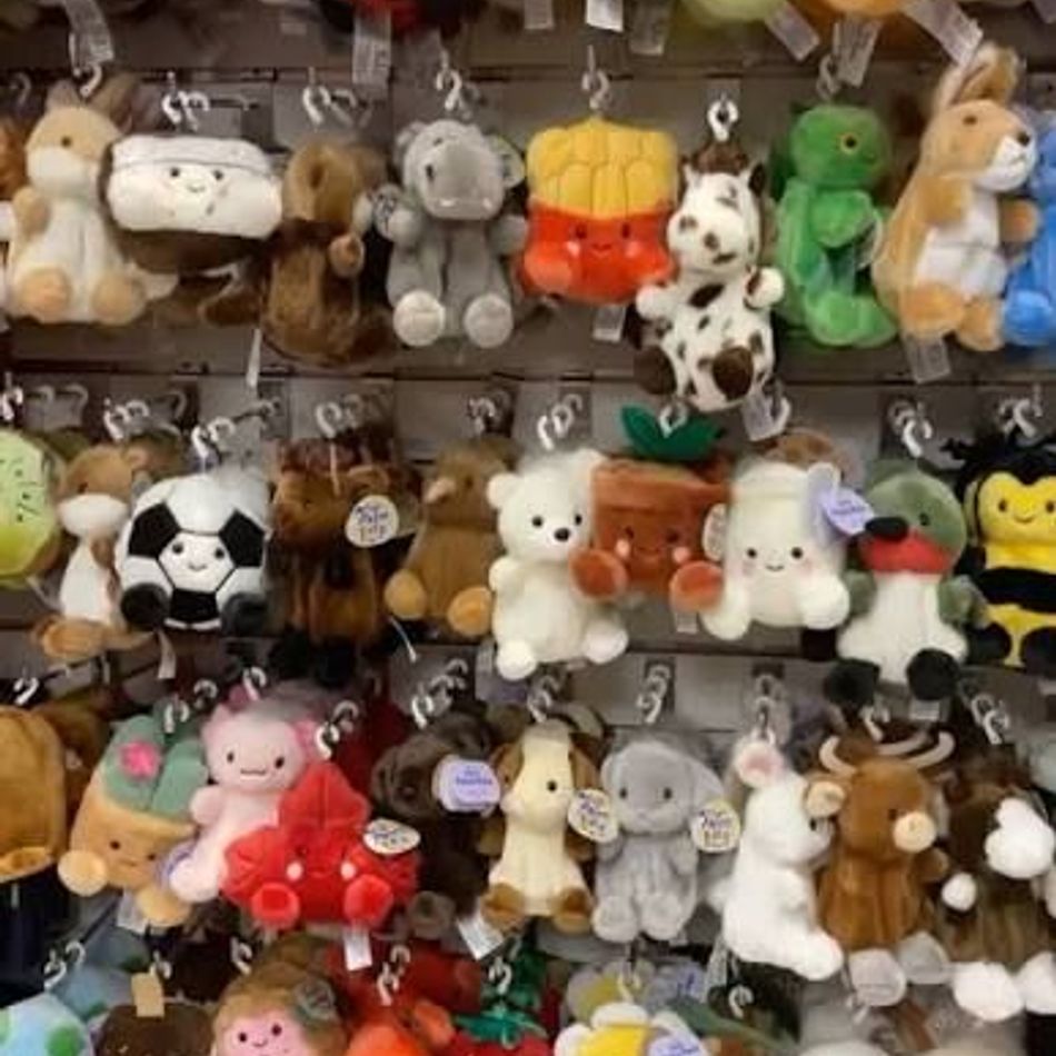 Cute Keychain ASST 2